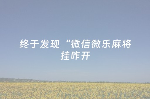 终于发现“微信微乐麻将挂咋开（助赢神器通用版）