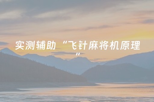 实测辅助“飞针麻将机原理”（详细透视教程）-哔哩哔哩