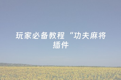 玩家必备教程“功夫麻将插件（助赢神器通用版）