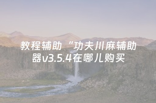 教程辅助“功夫川麻辅助器v3.5.4在哪儿购买（助赢神器通用版）