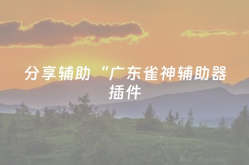 分享辅助“广东雀神辅助器插件（助赢神器通用版）