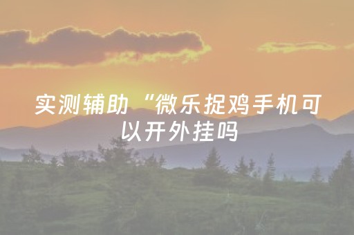 实测辅助“微乐捉鸡手机可以开外挂吗（助赢神器通用版）