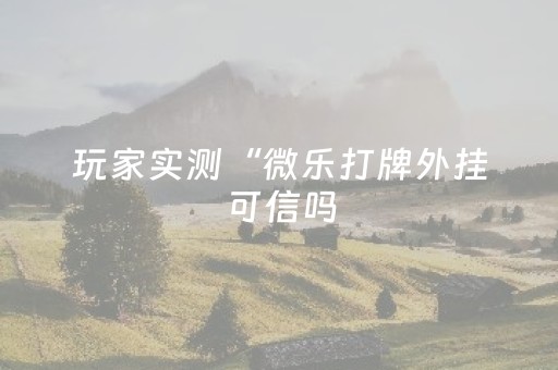 玩家实测“微乐打牌外挂可信吗（专用辅牌神器免安装）