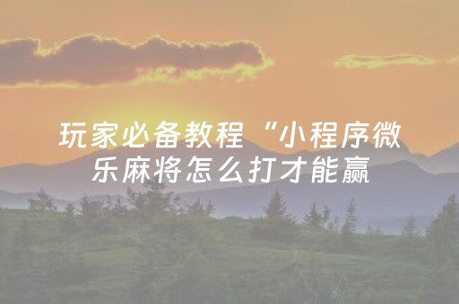 玩家必备教程“小程序微乐麻将怎么打才能赢（助赢神器通用版）