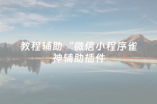 玩家必看攻略“微乐麻将神器通用版（专用辅牌神器免安装）