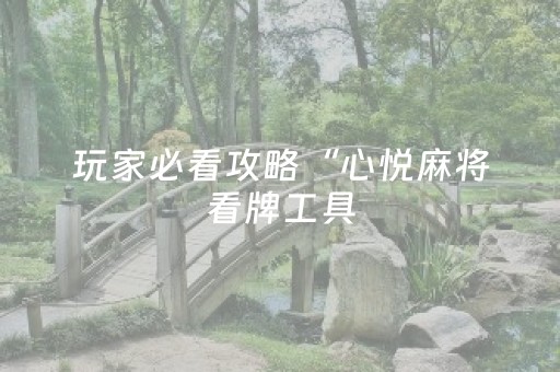 玩家必看攻略“心悦麻将看牌工具（专用辅牌神器免安装）