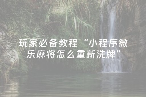 玩家必备教程“小程序微乐麻将怎么重新洗牌”（详细透视教程）-哔哩哔哩