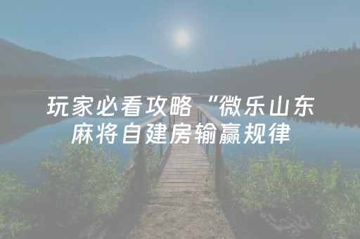 玩家必看攻略“微乐山东麻将自建房输赢规律（助赢神器通用版）