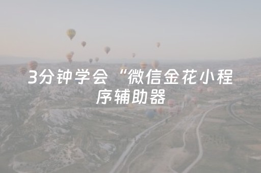 3分钟学会“微信金花小程序辅助器（助赢神器通用版）