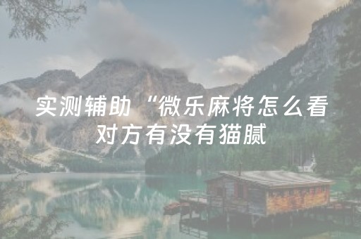 实测辅助“微乐麻将怎么看对方有没有猫腻（助赢神器通用版）