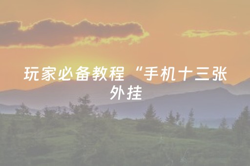 玩家必备教程“手机十三张外挂（助赢神器通用版）