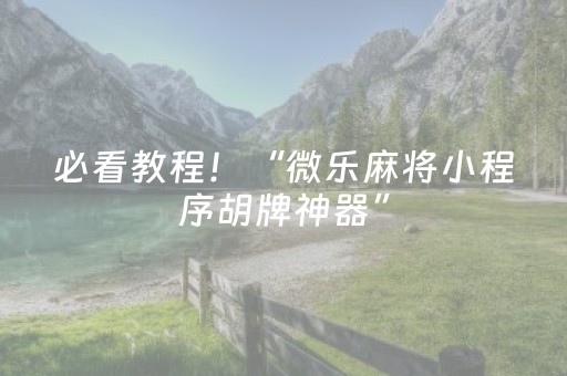 必看教程！“微乐麻将小程序胡牌神器”（详细透视教程）-哔哩哔哩