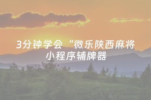 3分钟学会“微乐陕西麻将小程序辅牌器（专用辅牌神器免安装）