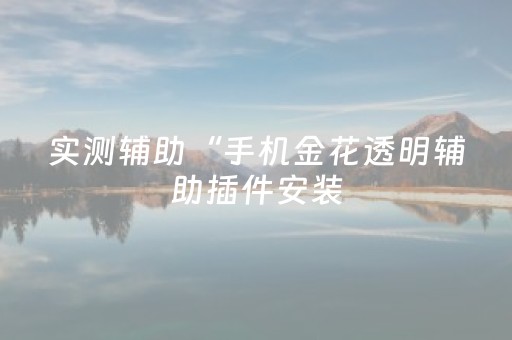 实测辅助“手机金花透明辅助插件安装（助赢神器通用版）