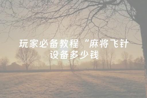 玩家必备教程“麻将飞针设备多少钱（助赢神器通用版）