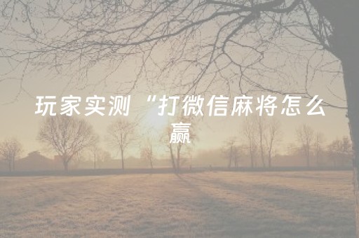 玩家实测“打微信麻将怎么赢（助赢神器通用版）