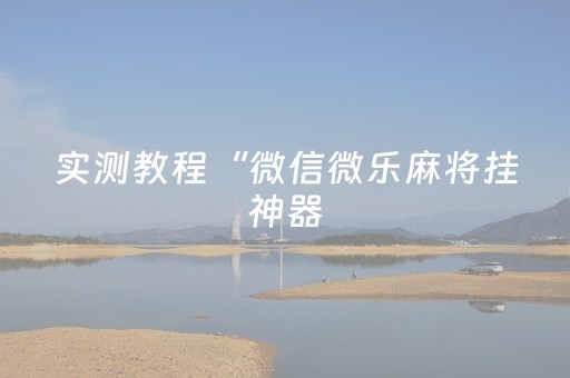 实测教程“微信微乐麻将挂神器（专用辅牌神器免安装）