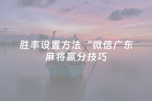 胜率设置方法“微信广东麻将赢分技巧（助赢神器通用版）