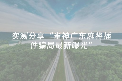 实测分享“雀神广东麻将插件骗局最新曝光”（详细开挂教程）-哔哩哔哩