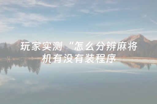 玩家实测“怎么分辨麻将机有没有装程序（专用辅牌神器免安装）
