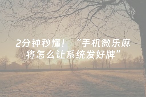 2分钟秒懂！“手机微乐麻将怎么让系统发好牌”（详细辅助教程）-哔哩哔哩
