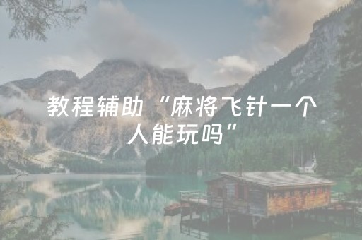 教程辅助“麻将飞针一个人能玩吗”（详细透视教程）-哔哩哔哩