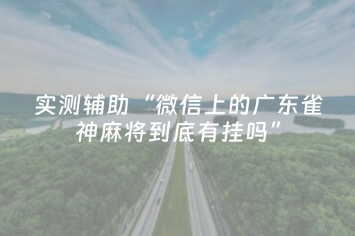 实测辅助“微信上的广东雀神麻将到底有挂吗”（详细透视教程）-哔哩哔哩