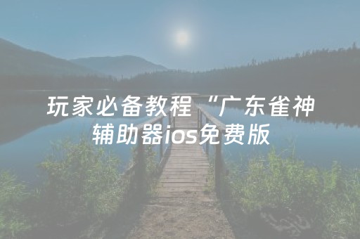 玩家必备教程“广东雀神辅助器ios免费版（专用辅牌神器免安装）