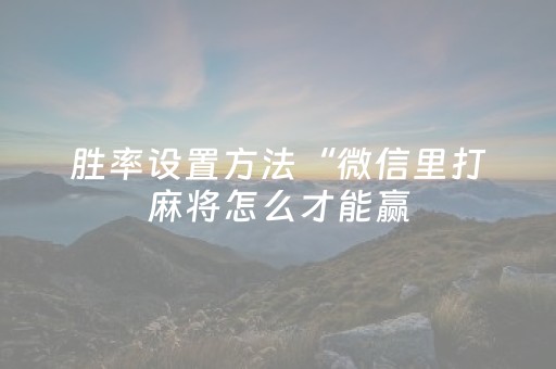 胜率设置方法“微信里打麻将怎么才能赢（专用辅牌神器免安装）