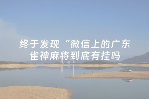 终于发现“微信上的广东雀神麻将到底有挂吗（助赢神器通用版）