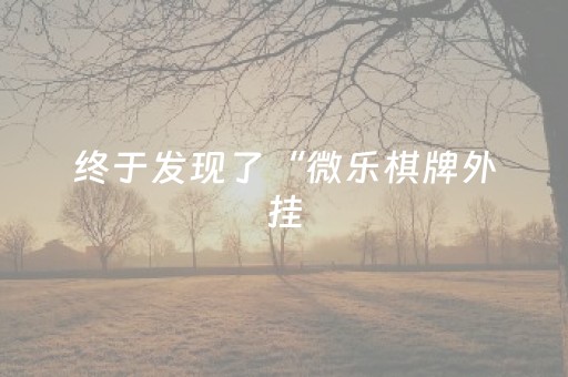终于发现了“微乐棋牌外挂（专用辅牌神器免安装）