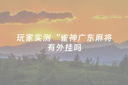 玩家实测“雀神广东麻将有外挂吗（助赢神器通用版）