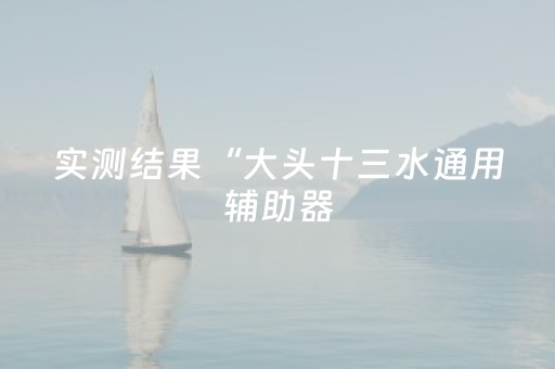 实测结果“大头十三水通用辅助器（助赢神器通用版）