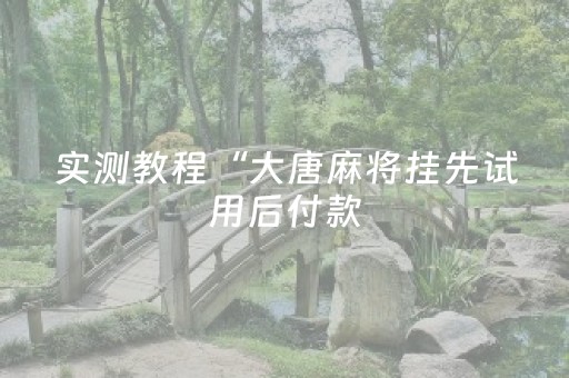 实测教程“大唐麻将挂先试用后付款（助赢神器通用版）