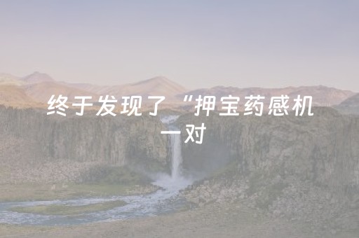 终于发现了“押宝药感机 一对（专用辅牌神器免安装）