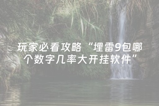玩家必看攻略“埋雷9包哪个数字几率大开挂软件”（详细透视教程）-哔哩哔哩