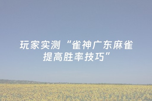 玩家实测“雀神广东麻雀提高胜率技巧”（详细透视教程）-哔哩哔哩
