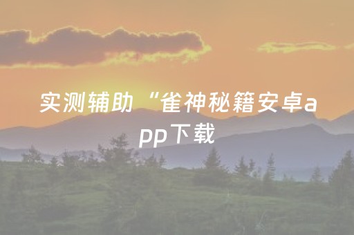 实测辅助“雀神秘籍安卓app下载（专用辅牌神器免安装）