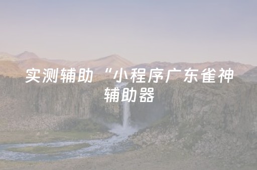 实测辅助“小程序广东雀神辅助器（助赢神器通用版）