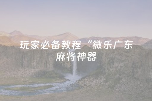 玩家必备教程“微乐广东麻将神器（专用辅牌神器免安装）