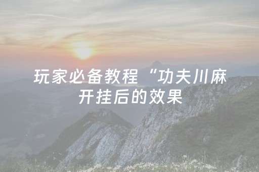 玩家必备教程“功夫川麻开挂后的效果（助赢神器通用版）