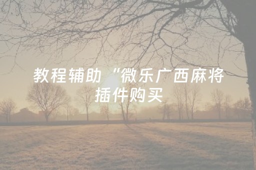 实测分享“自动麻将机控牌器免安装（助赢神器通用版）