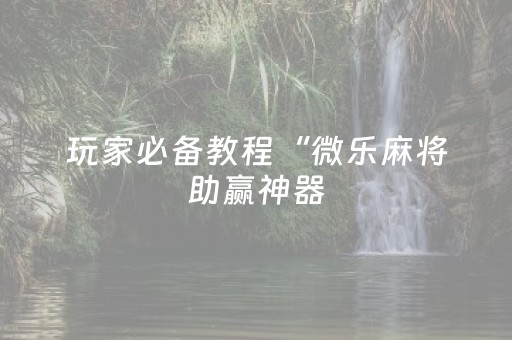 玩家必备教程“微乐麻将助赢神器（助赢神器通用版）
