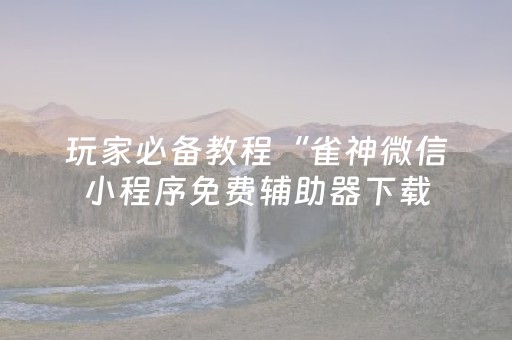 玩家必备教程“雀神微信小程序免费辅助器下载（专用辅牌神器免安装）
