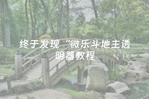 终于发现“微乐斗地主透明器教程（助赢神器通用版）