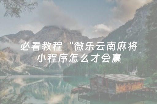 必看教程“微乐云南麻将小程序怎么才会赢（专用辅牌神器免安装）