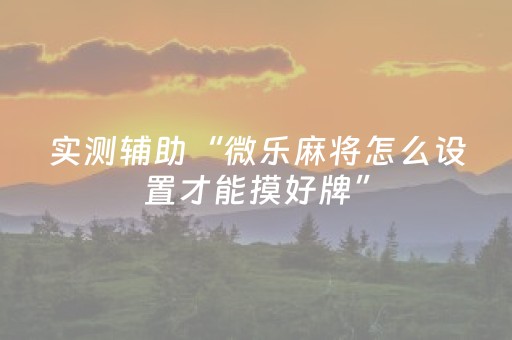 实测辅助“微乐麻将怎么设置才能摸好牌”（详细透视教程）-哔哩哔哩