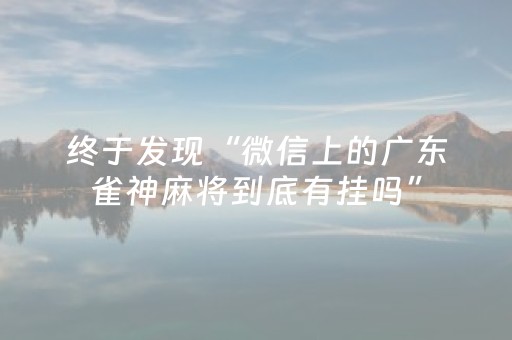 终于发现“微信上的广东雀神麻将到底有挂吗”（详细透视教程）-哔哩哔哩