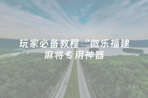 玩家必备教程“微乐福建麻将专用神器（专用辅牌神器免安装）