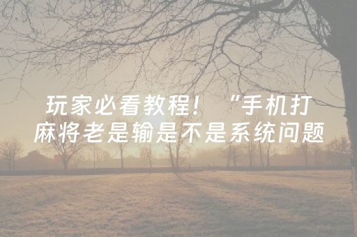 玩家必看教程！“手机打麻将老是输是不是系统问题”（详细辅助教程）-哔哩哔哩